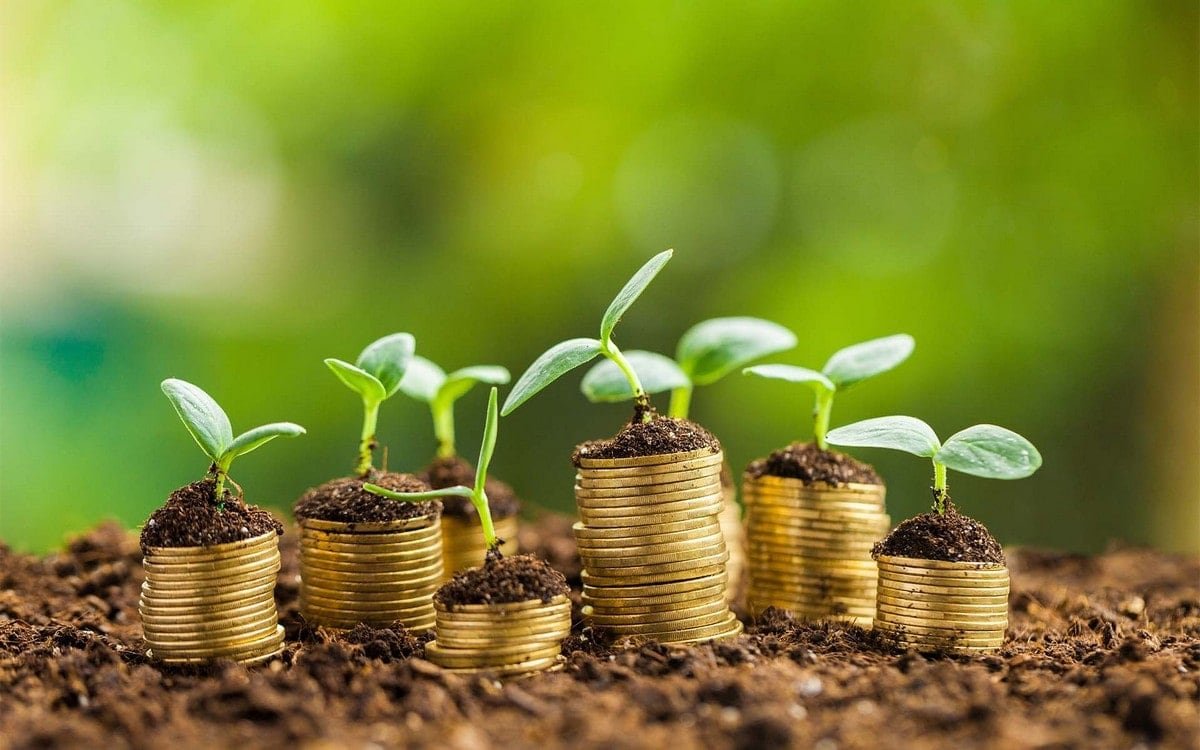 Green business strategies