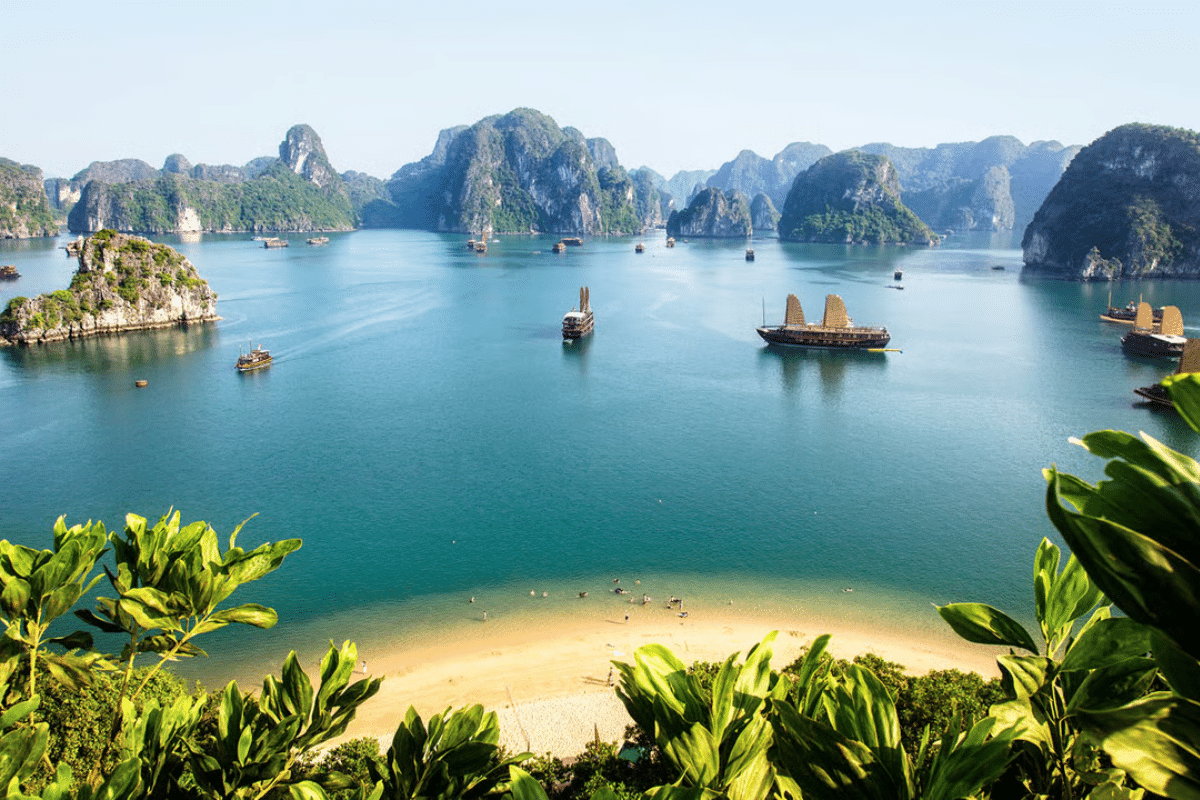 Asia regional business expansion